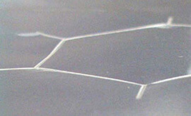 Laserritzen von Freiformen